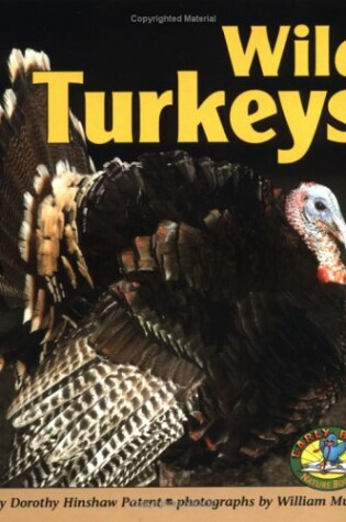 Cover of Wild Turkeys