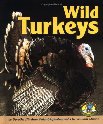 Book cover for Wild Turkeys