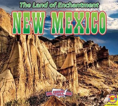 Book cover for New Mexico with Code