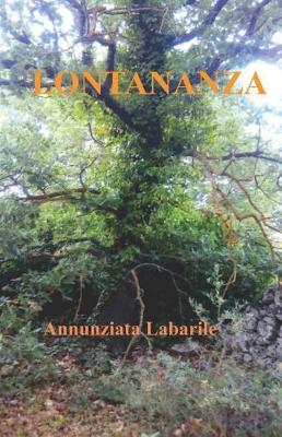 Book cover for Lontananza