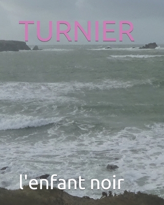 Book cover for Turnier