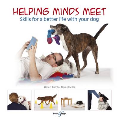 Book cover for Helping Minds Meet