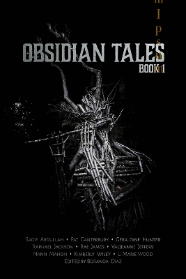 Book cover for Obsidian Tales