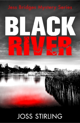 Book cover for Black River