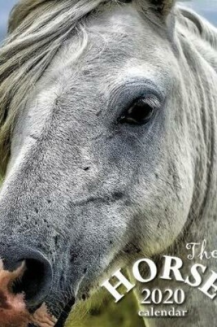 Cover of The Horse 2020 Calendar