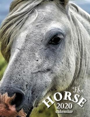 Book cover for The Horse 2020 Calendar