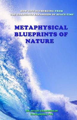 Book cover for Metaphysical Blueprints of Nature