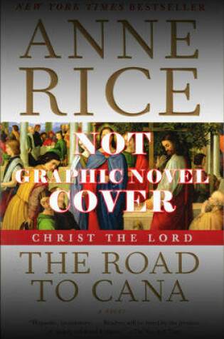 Cover of Christ the Lord: The Road to Cana - The Graphic Novel