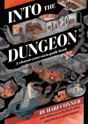 Book cover for Into the Dungeon