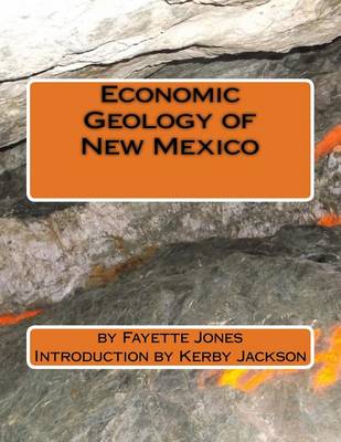 Book cover for Economic Geology of New Mexico