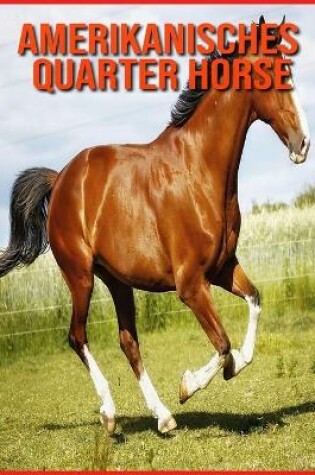 Cover of Amerikanisches Quarter Horse