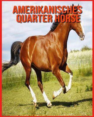 Book cover for Amerikanisches Quarter Horse