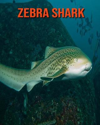 Book cover for Zebra Shark
