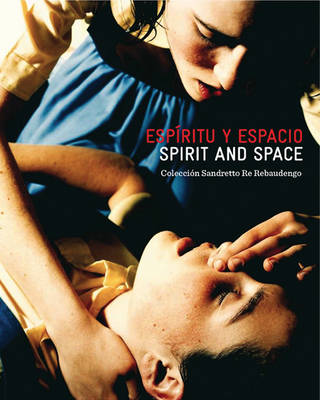 Book cover for Spirit and Space: Sandretto Re Rebaudengo Collection