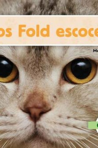 Cover of El Gato Fold Escoces, El