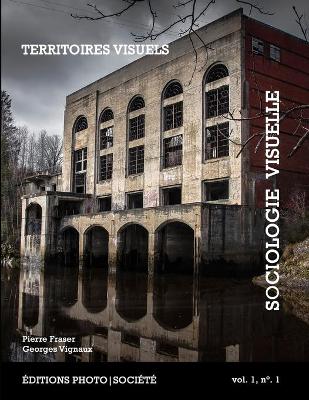 Book cover for Territoires visuels
