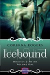 Book cover for Icebound