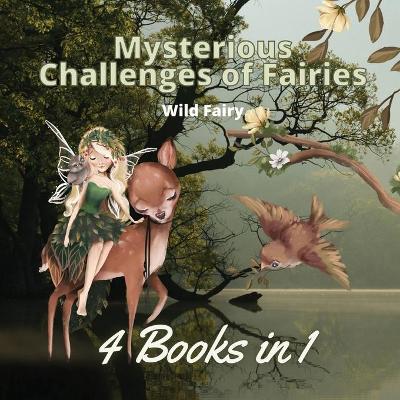 Book cover for Mysterious Challenges of Fairies