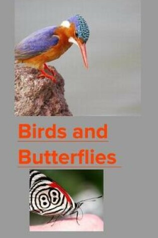 Cover of Birds and Butterflies
