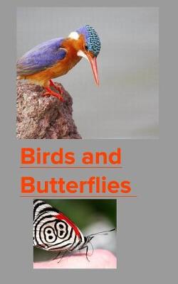 Book cover for Birds and Butterflies