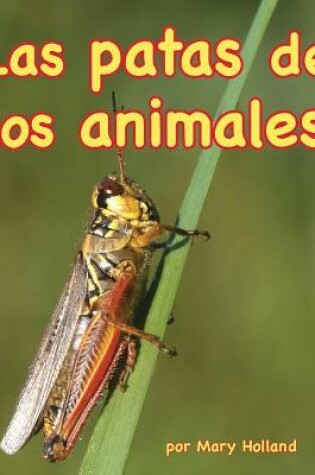 Cover of Patas de Los Animales (Animal Legs)