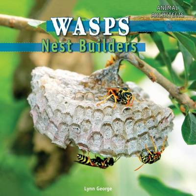 Book cover for Wasps