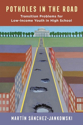 Book cover for Potholes in the Road