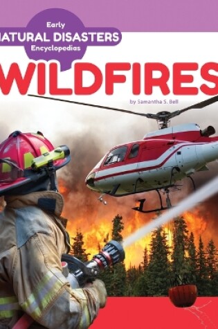 Cover of Wildfires