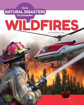 Book cover for Wildfires