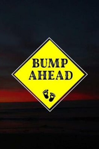 Cover of Bump Ahead