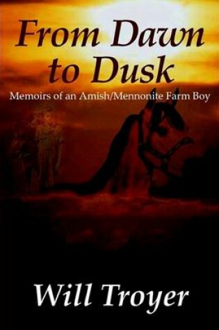 Cover of From Dawn to Dusk