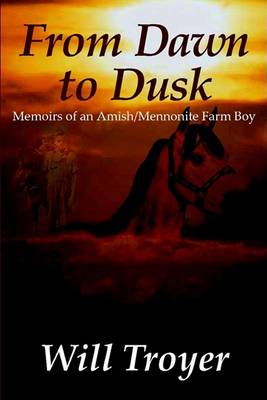 Cover of From Dawn to Dusk