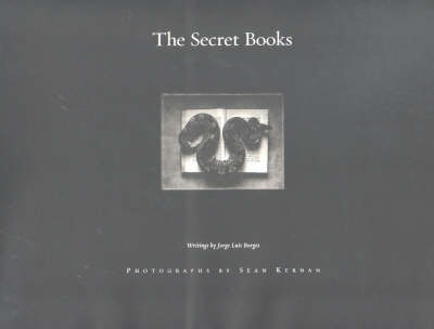 Book cover for The Secret Books