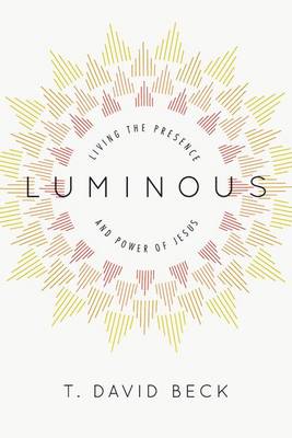 Book cover for Luminous