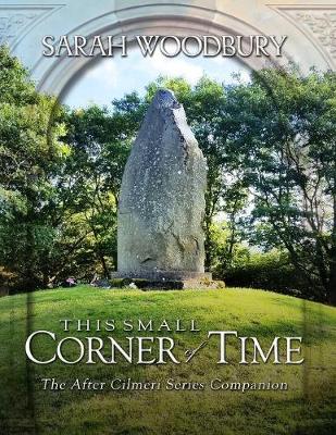 Book cover for This Small Corner of Time
