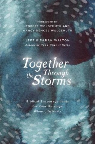 Cover of Together Through the Storms