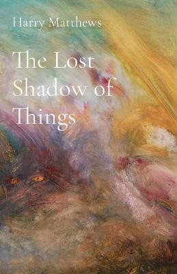 Book cover for The Lost Shadow of Things