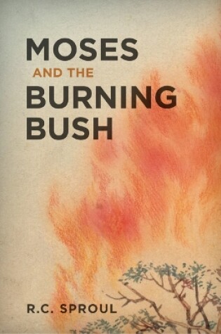 Cover of Moses And The Burning Bush
