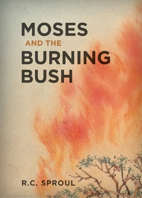 Book cover for Moses And The Burning Bush