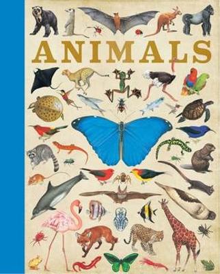 Book cover for Animals