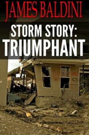 Cover of Storm Story