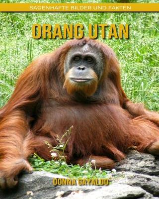 Book cover for Orang Utan