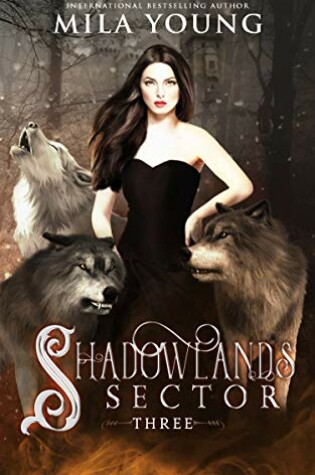 Cover of Shadowlands Sector, Three