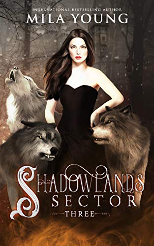 Cover of Shadowlands Sector, Three