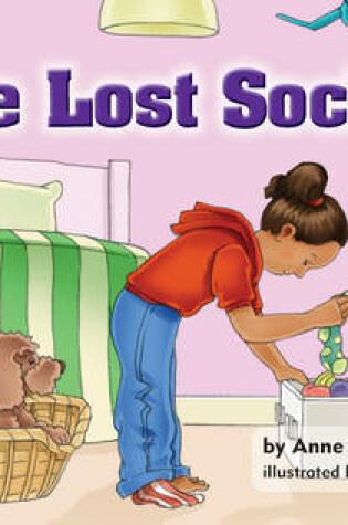 Cover of The Lost Sock