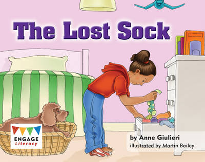 Book cover for The Lost Sock