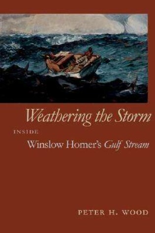 Cover of Weathering the Storm