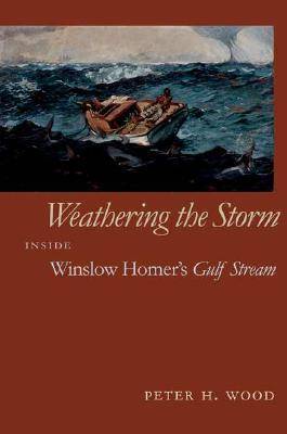 Book cover for Weathering the Storm