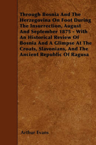 Cover of Through Bosnia And The Herzegovina On Foot During The Insurrection, August And September 1875 - With An Historical Review Of Bosnia And A Glimpse At The Croats, Slavonians, And The Ancient Republic Of Ragusa