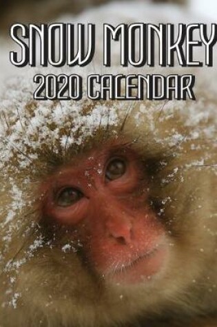Cover of Snow Monkey 2020 Calendar